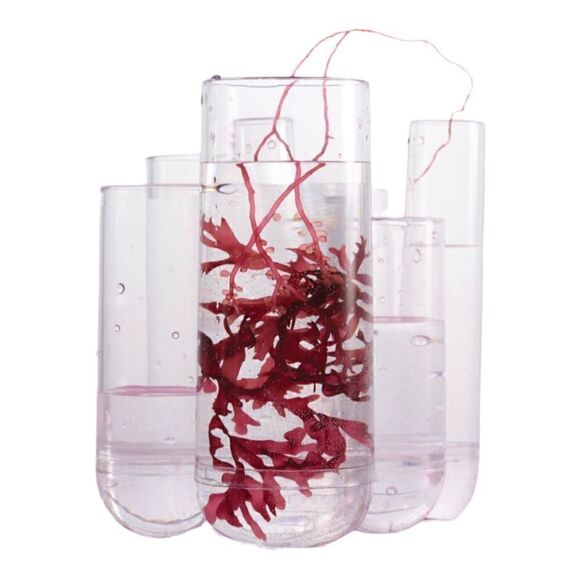 New olaplex NO. 9 Bond Protector Nurishing Hair Serum - Picture 7 of 7